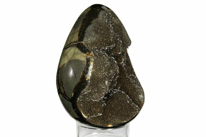 Septarian Dragon Egg Geode - Black Crystals #157880